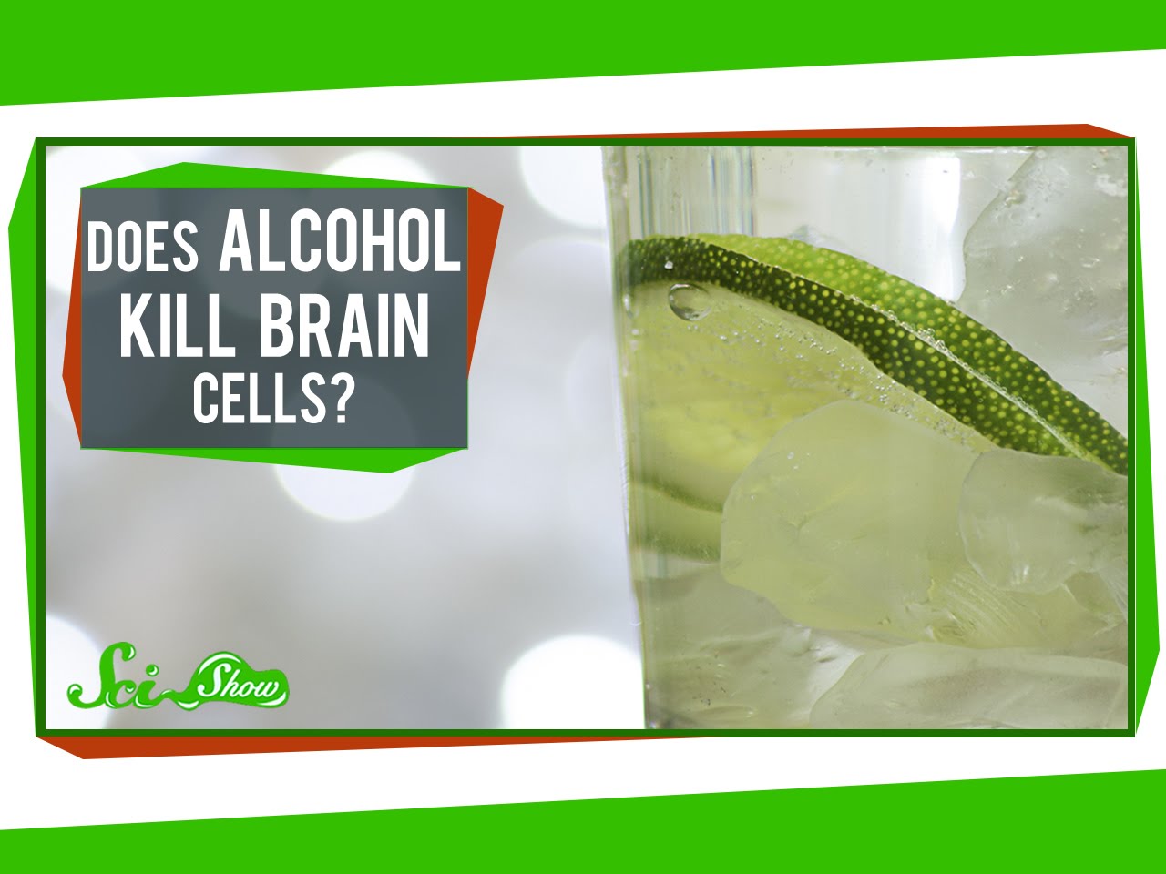 Tötet Alkohol Gehirnzellen?