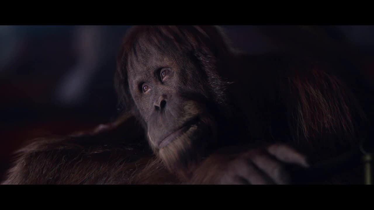 CGI Orang-Utan