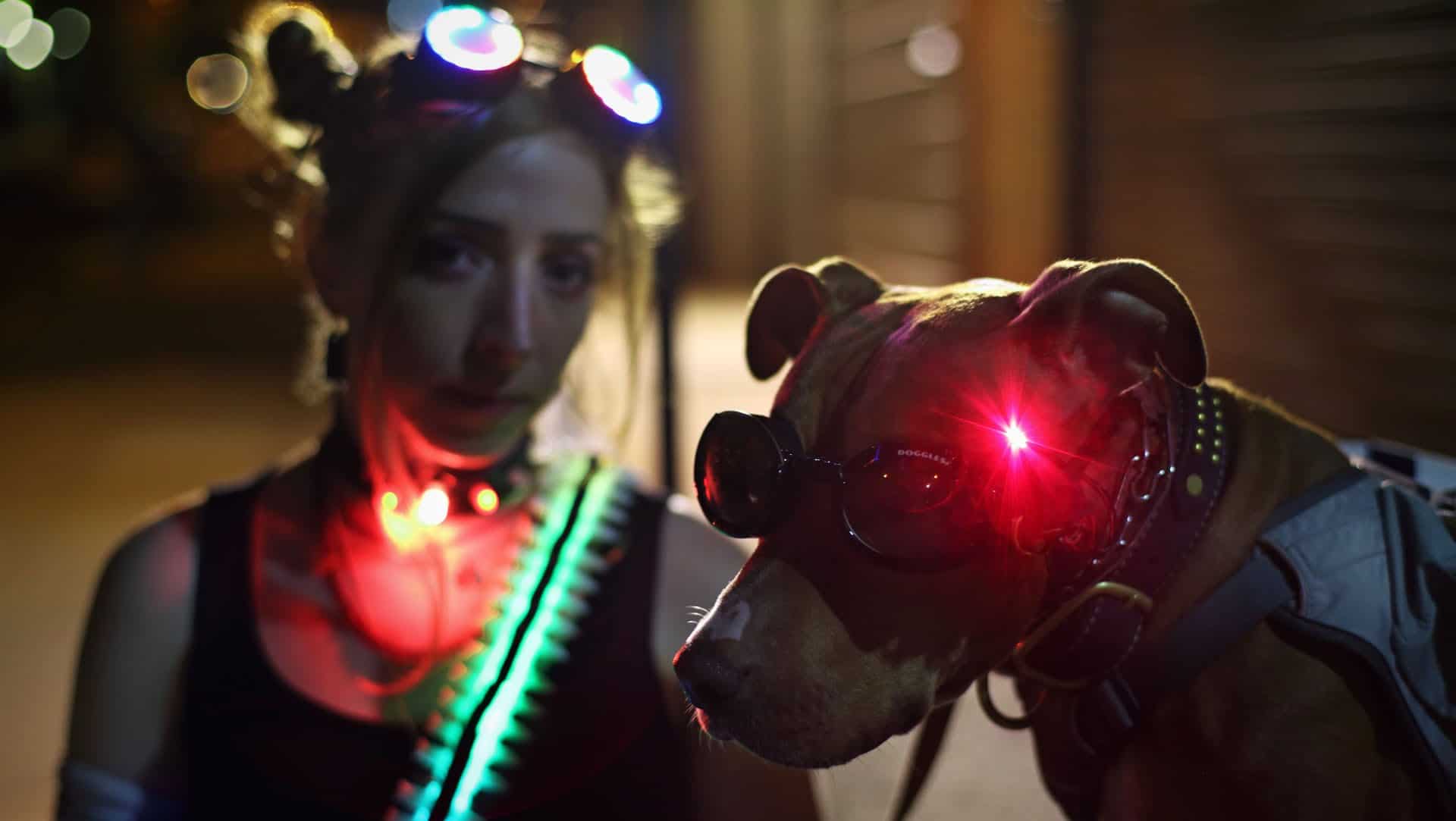laser dog goggles halloween cost
