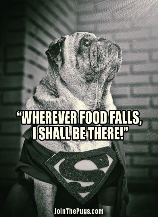 Wherever food falls ...