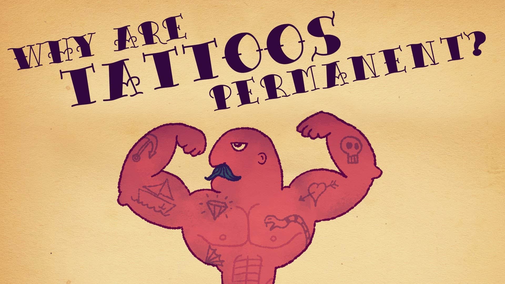Why are tattoos actually permanent?