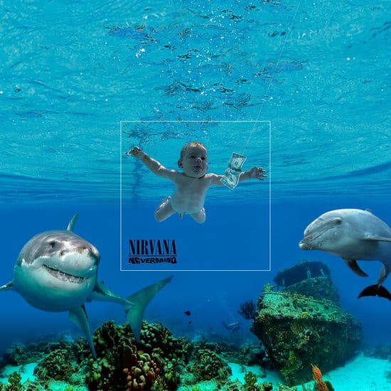Nirvana - Nevermind zoomede ud