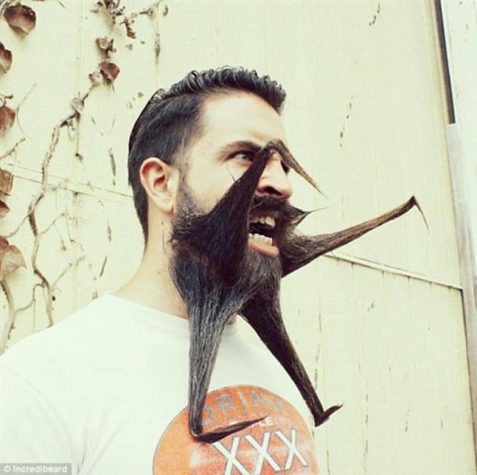 Barba de depredador