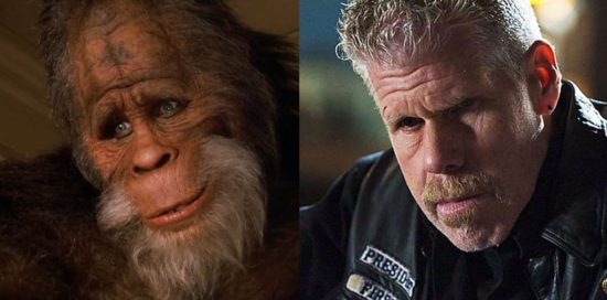 Vorsicht Verwechslungsgefahr (102)