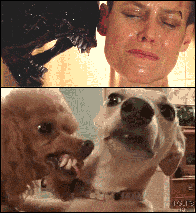 AliensDogEdition