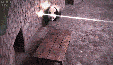 Panda-kracht
