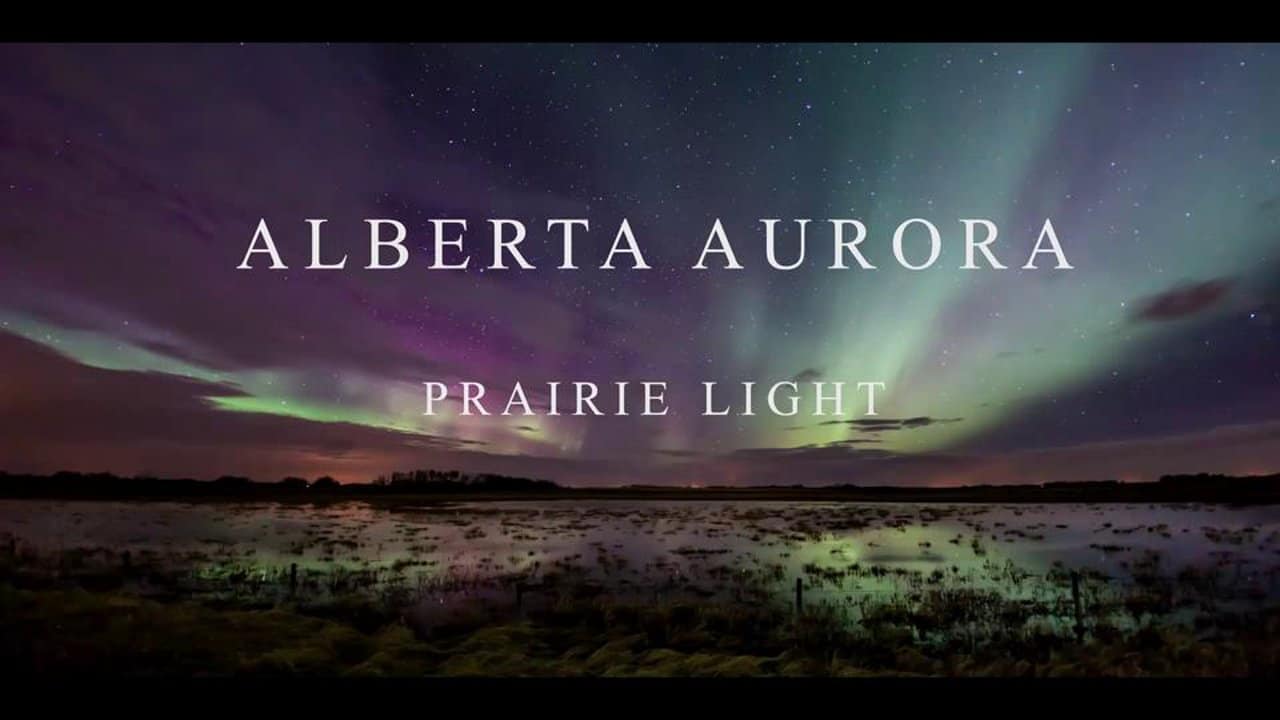 Aurora de Alberta - Luz de la pradera