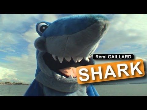 Rémi Gaillard – Attaque de requin