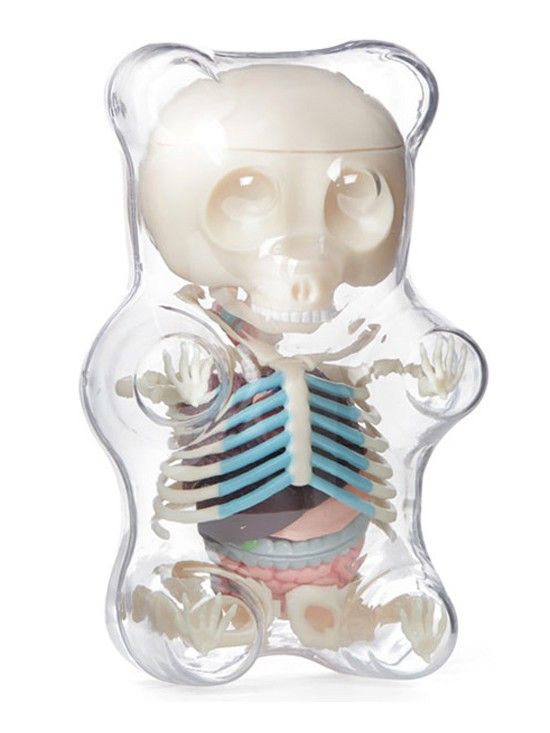 Anatomische Gummibärchen