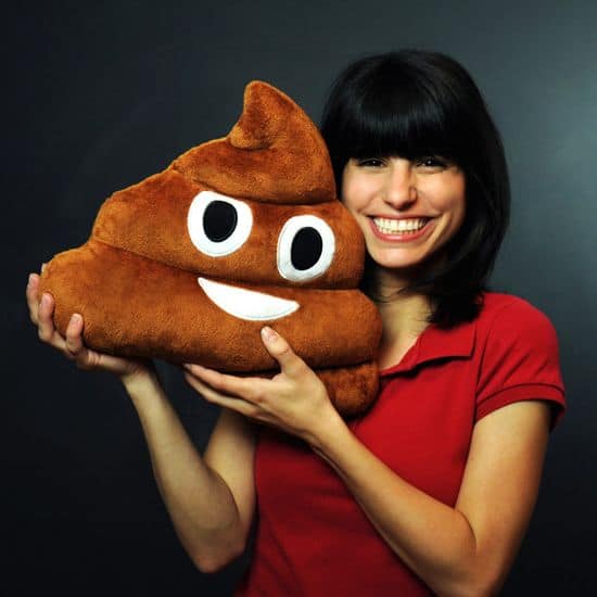 Poop Emoji Kissen
