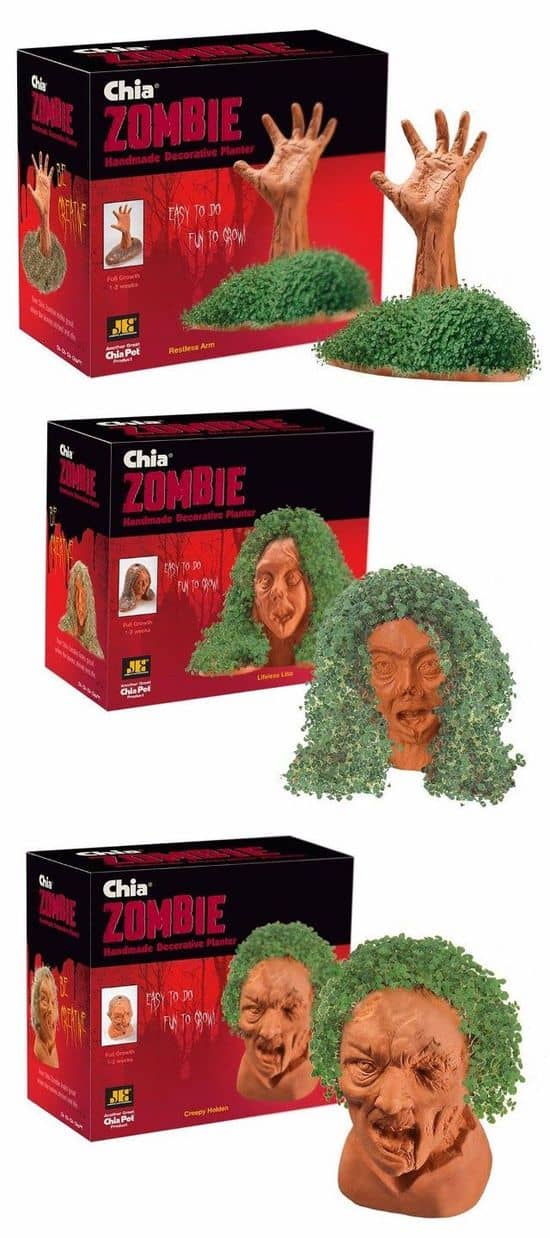 Zombie Kresse Kopf