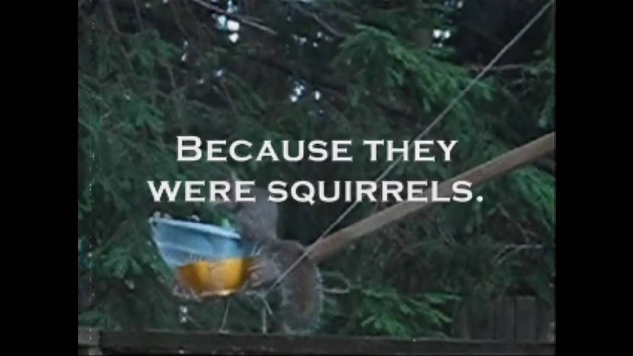 Kontraŭ sciura katapulto