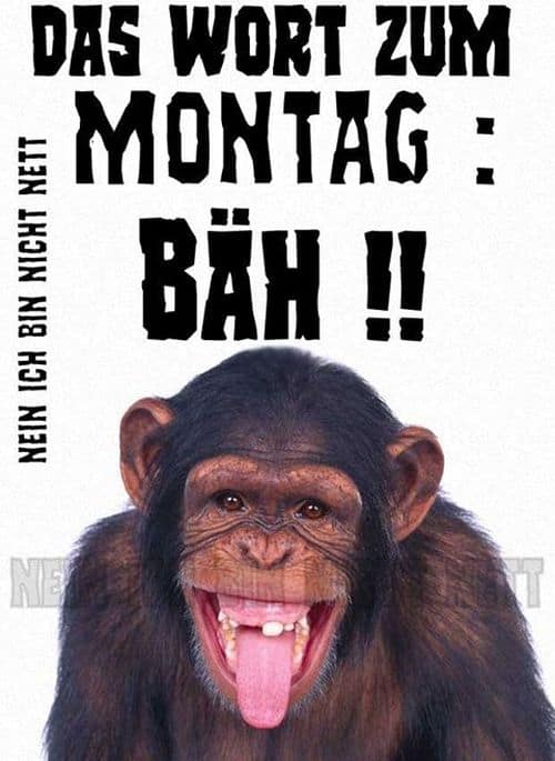 Das Wort zum Montag: BÄH!