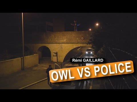 Owl Vs Police