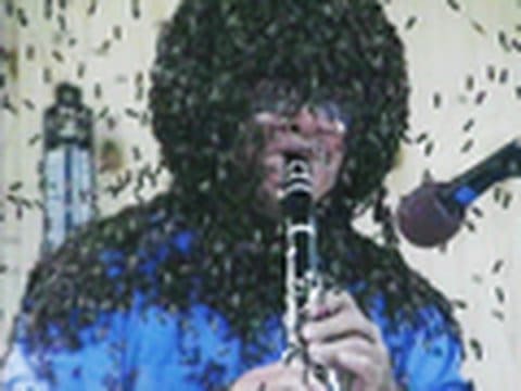 Playing A Clarinet Covered In Bees