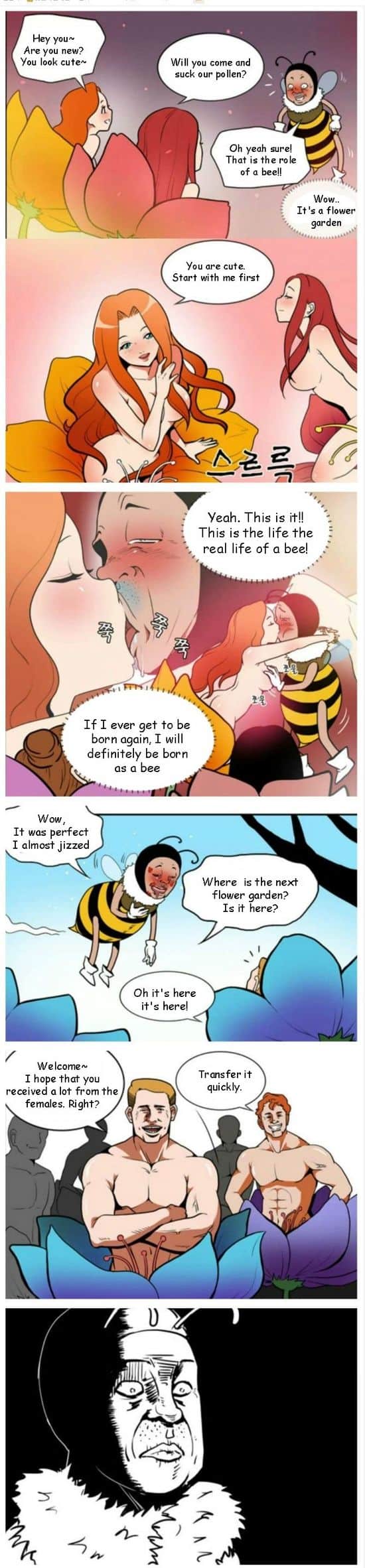 Aus dem Leben einer Biene