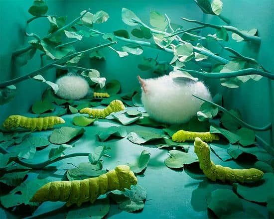 Dreamlike Scenes von JeeYoung Lee