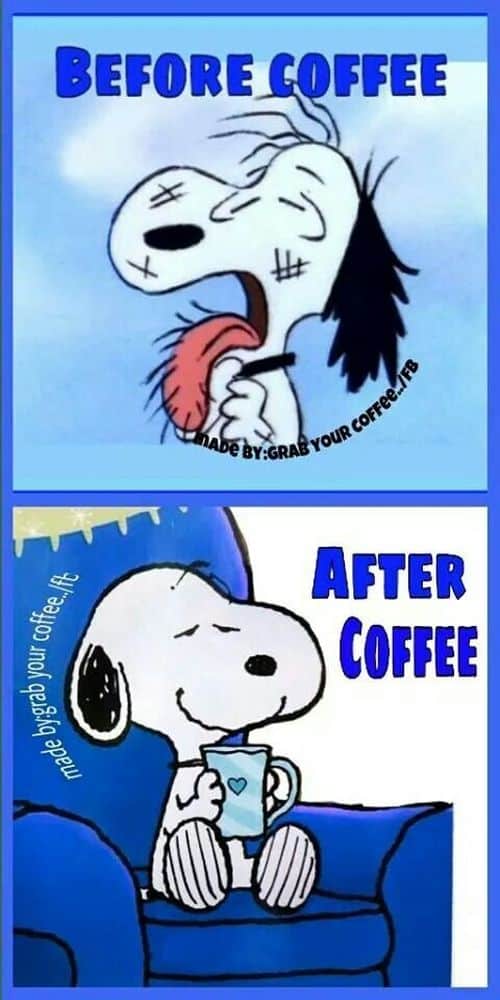 Snoopy ennen ja jälkeen kahvia