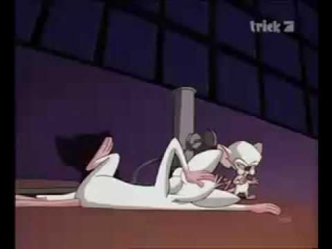 Der wirklich grosse Diktator – Pinky und Brain