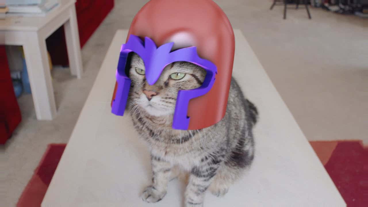 Fürchtet euch vor der Magneto Katze!