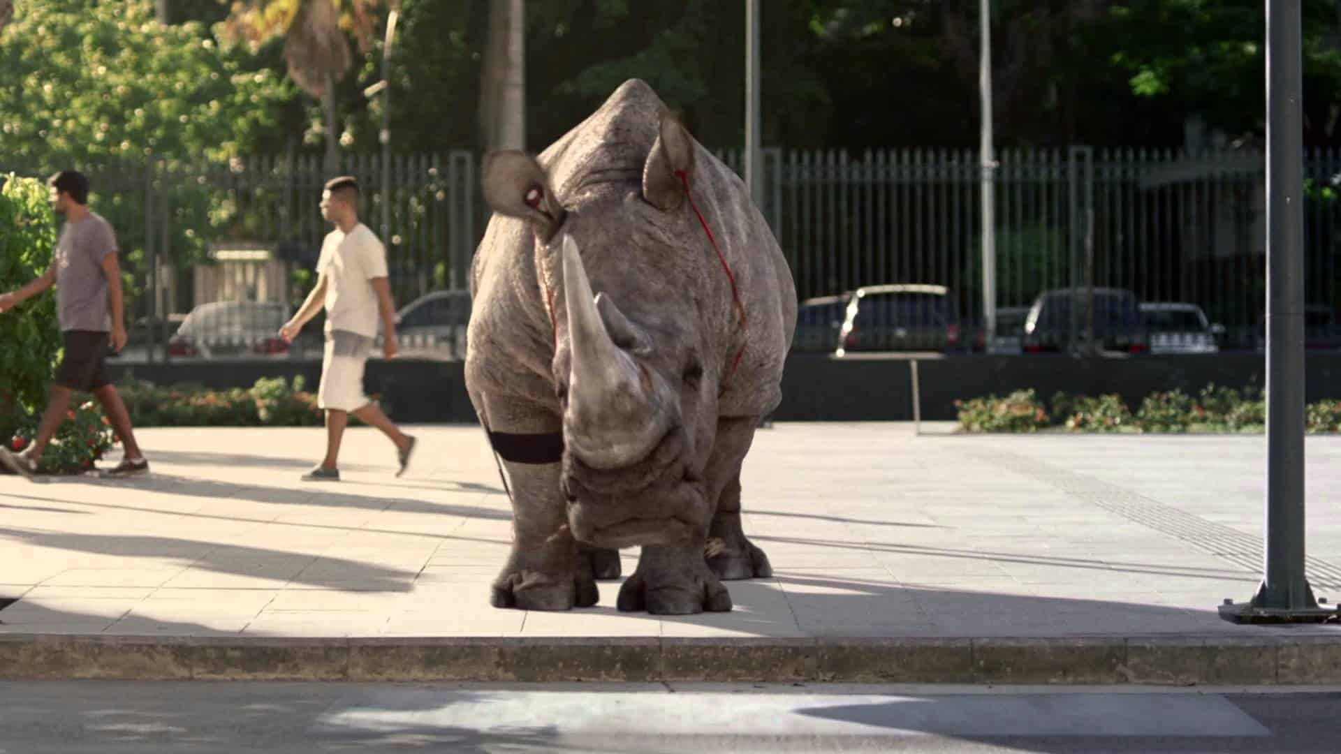 Nashorn schlendert Musik hörend durch die Stadt