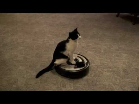 Roomba Driver