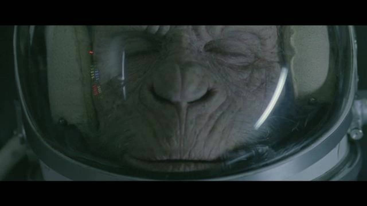 Space Monkey