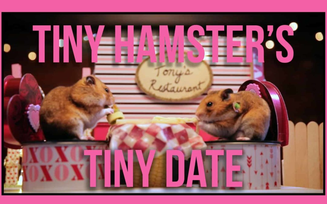 Tiny Hamster’s Tiny Date
