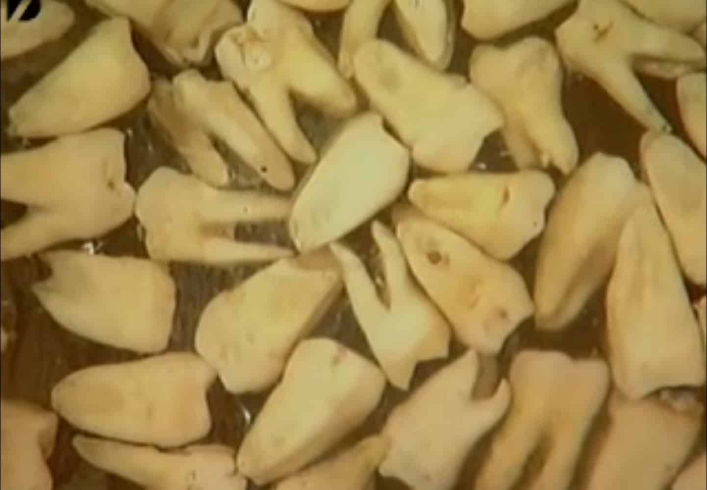 Tower Made Of Human Teeth