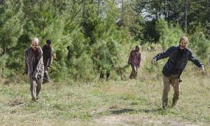 Zapowiedź odcinka 5 sezonu 14 „The Walking Dead” – promocja i zapowiedź