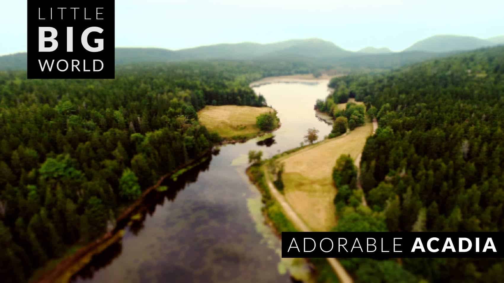 Adorable Acadia National Park