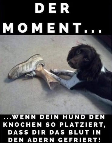 Der Moment...