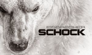 Eisbrecher: Schock im Z7