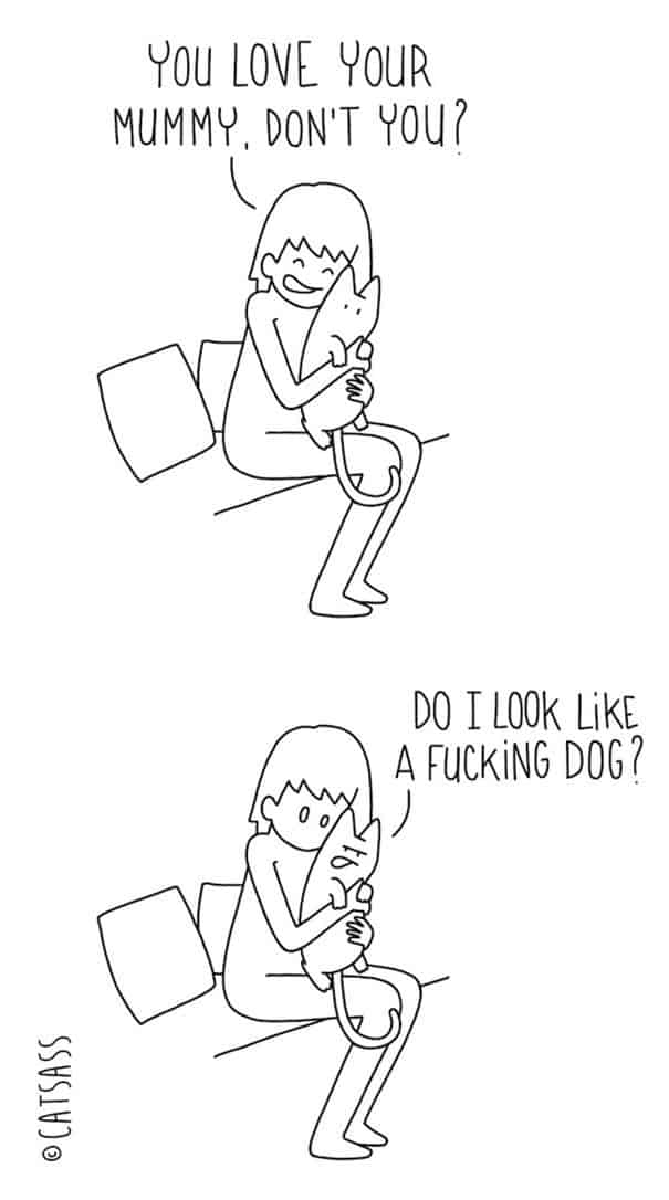 Was Katzen wirklich denken