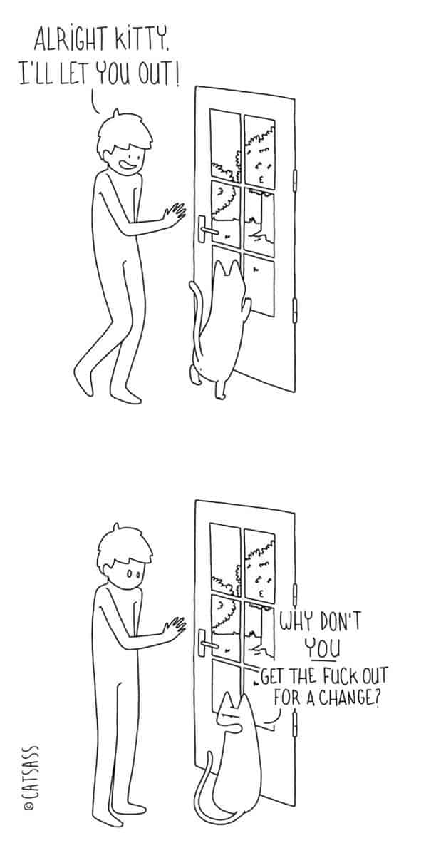 Was Katzen wirklich denken