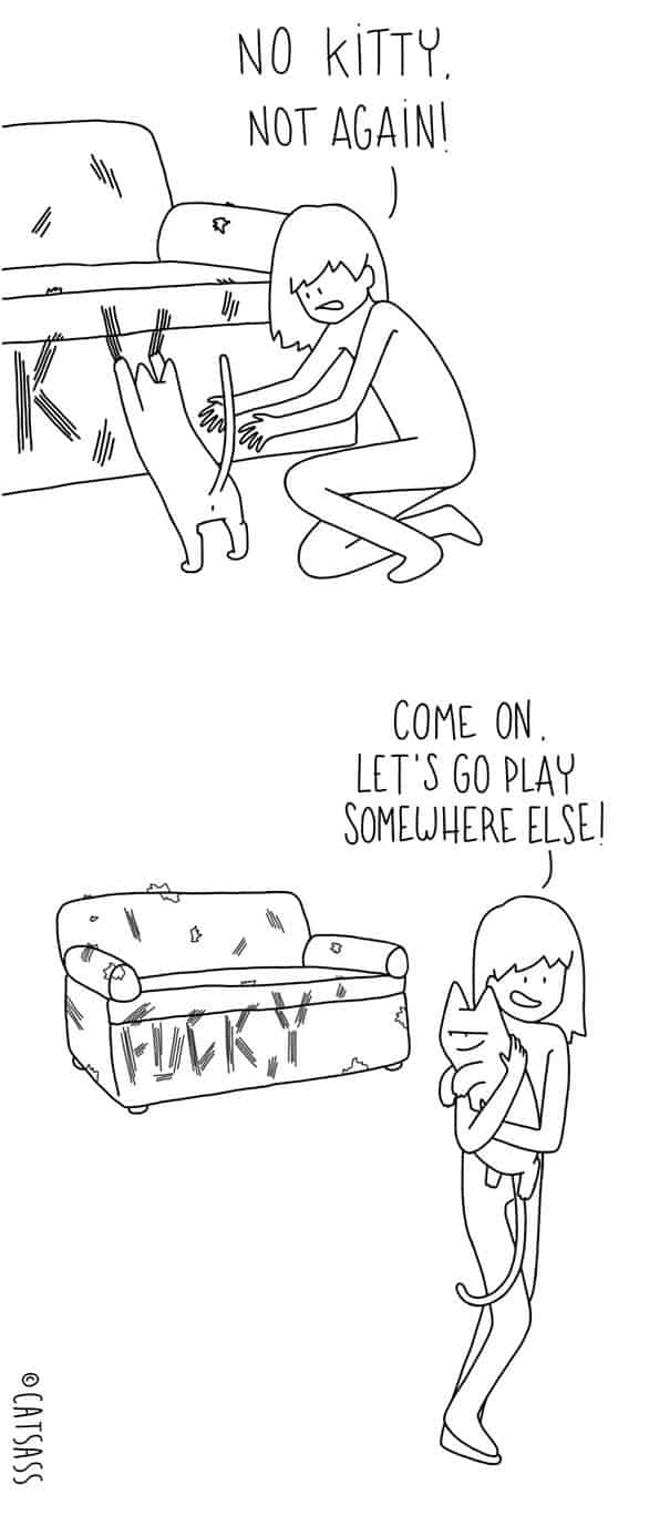 Was Katzen wirklich denken