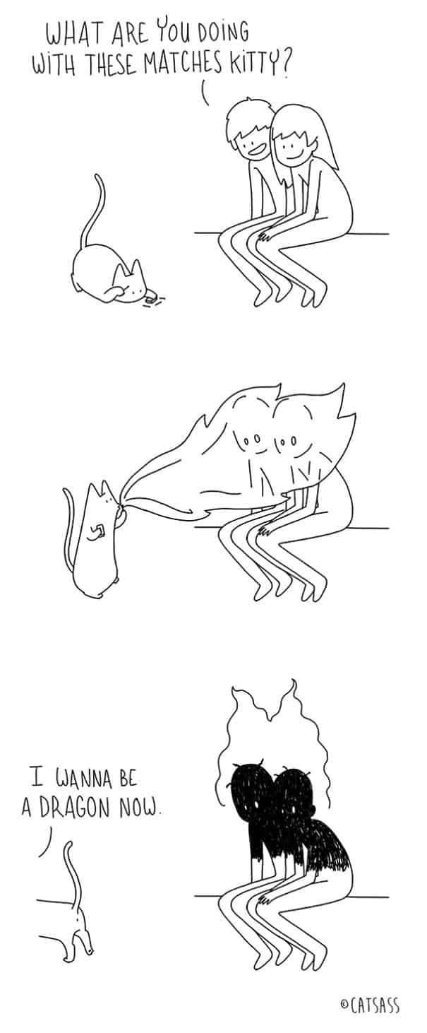 Was Katzen wirklich denken