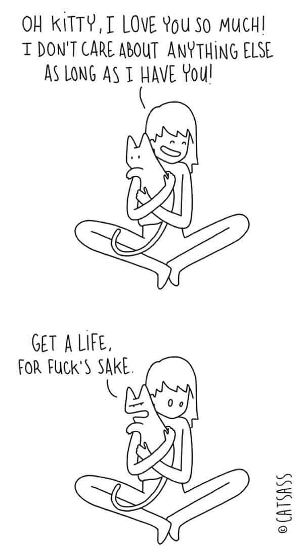 Was Katzen wirklich denken