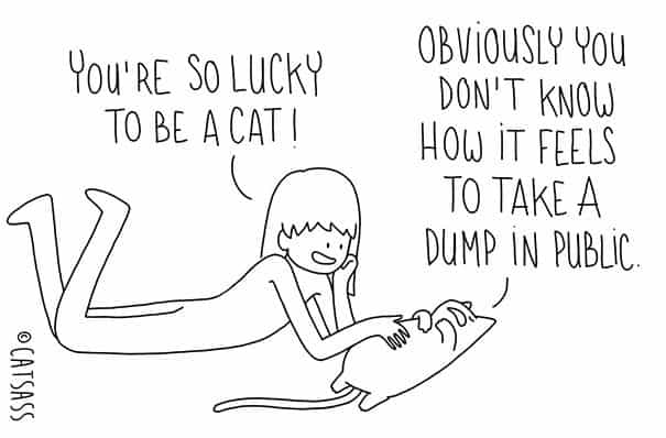 Mitä kissat todella ajattelevat