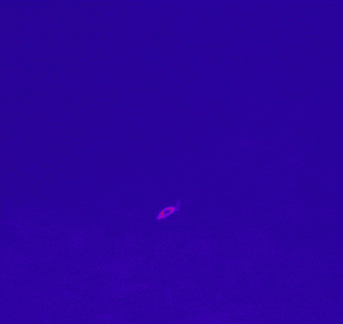 Magnetresonanztomographie animiert