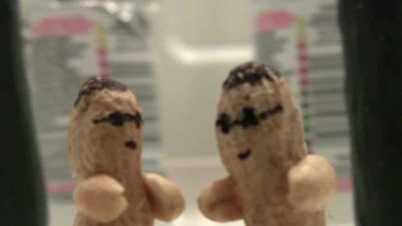 the peanuts matrix lobby fight s