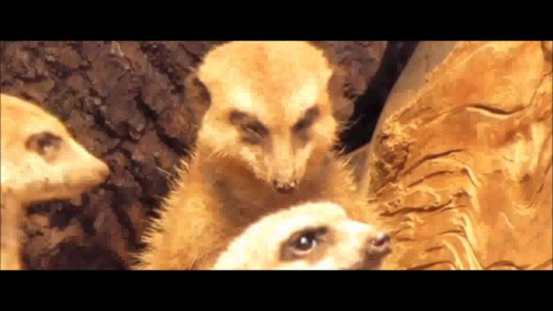 Typischer Montag Morgen