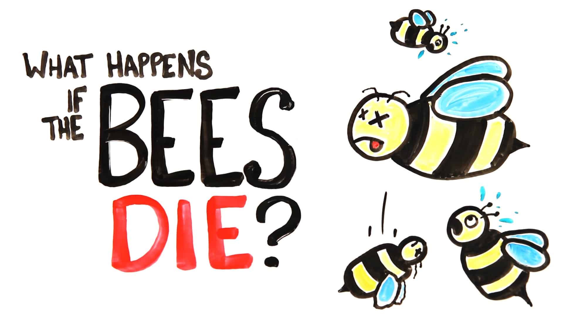 Was passiert, wenn alle Bienen sterben?