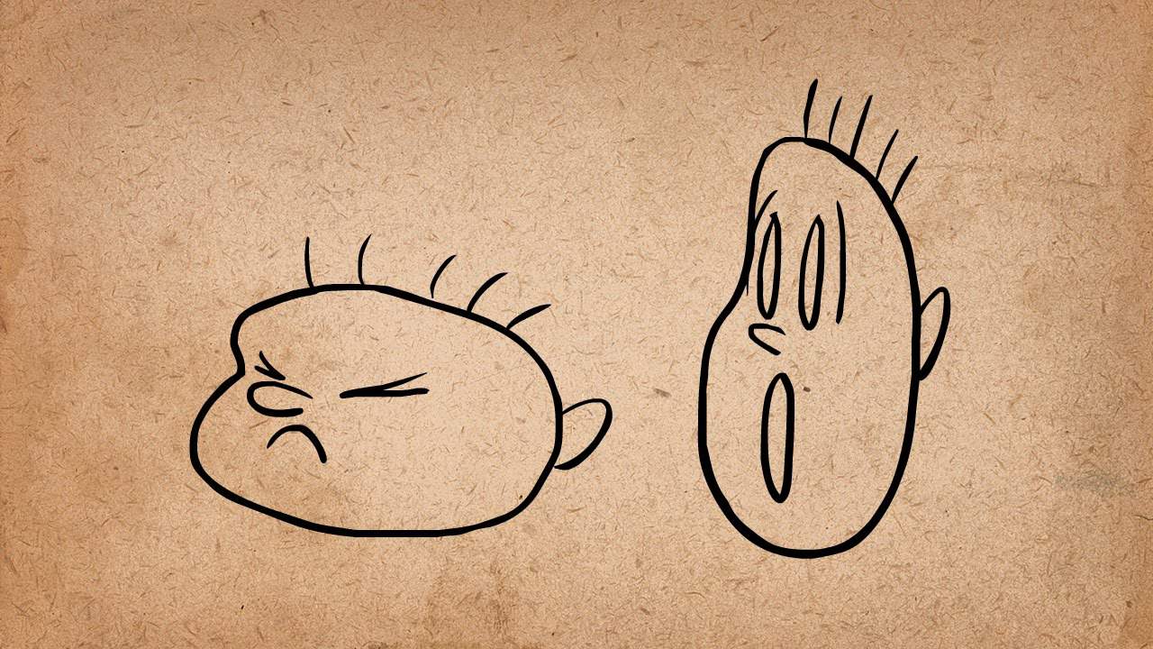 12 grundlagen der animation