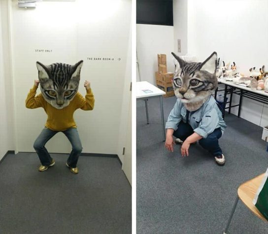 Giant Cat Head