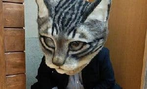 Giant Cat Head