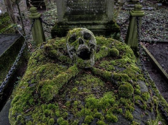 Skull Graveyard