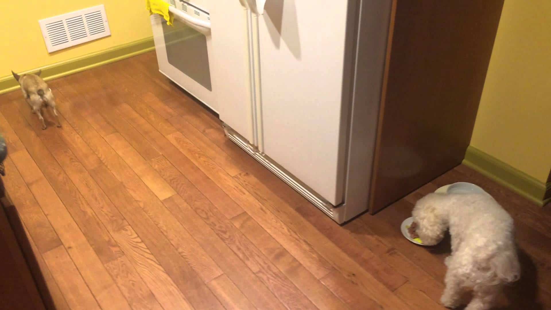 Alleine Essen macht keinen Spass