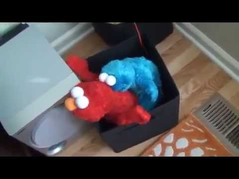 Elmo and Cookie Monster having a great time together