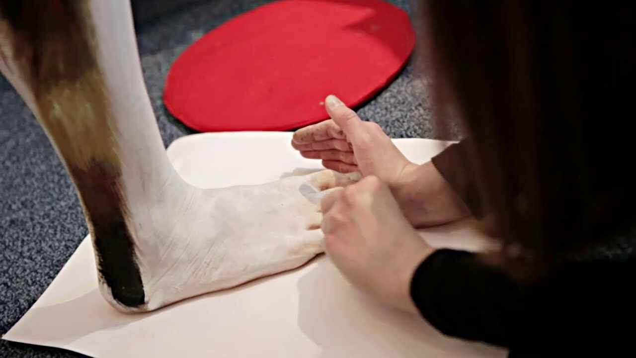 Tarantel Bodypainting